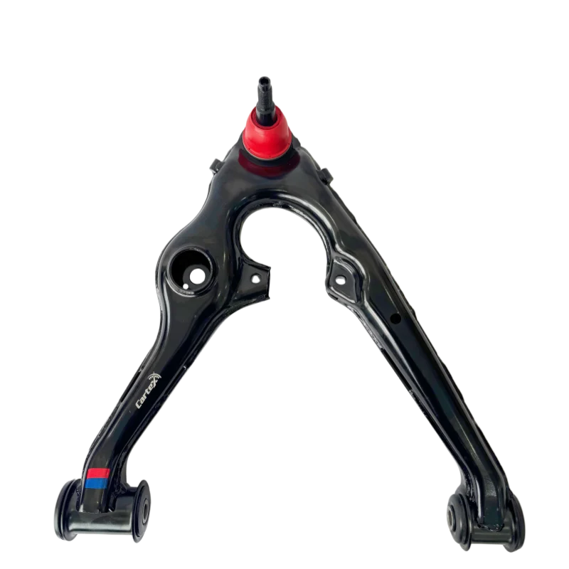 Tex0313 L